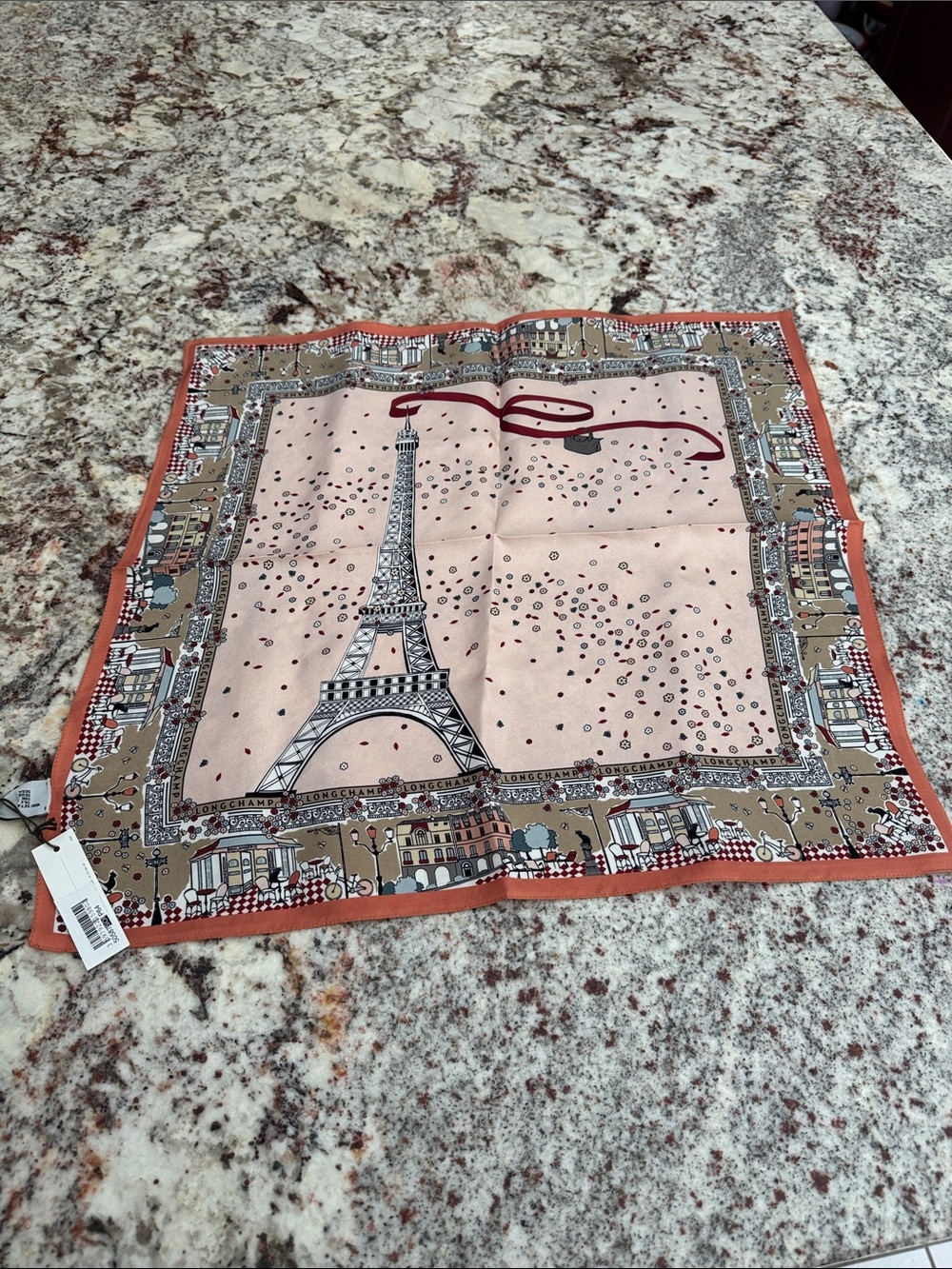 Longchamp Eiffel Tower Scarf in Pink and Taupe